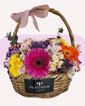 Canasta 10 gerberas, mini rosa, astromelia, leticia y dolar