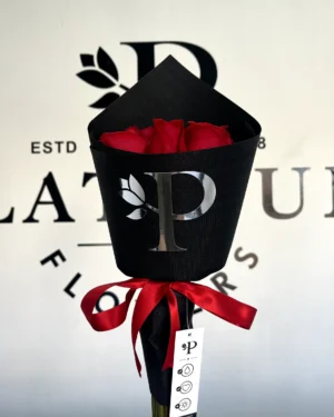 12 rosas rojas