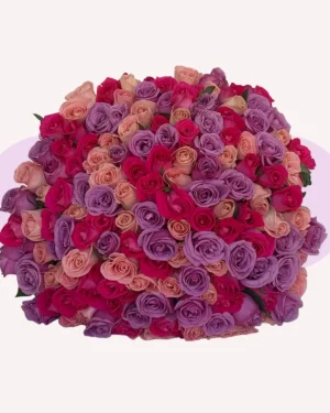 150 rosas combinadas
