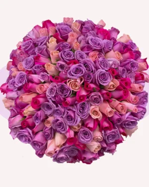 200 rosas combinadas