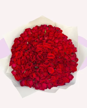 250 rosas rojas