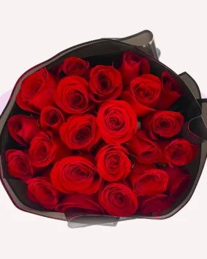 24 rosas rojas