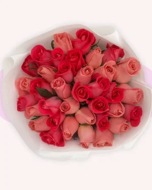 36 rosas combinadas