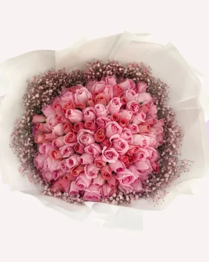 125 rosas rosas con gypso