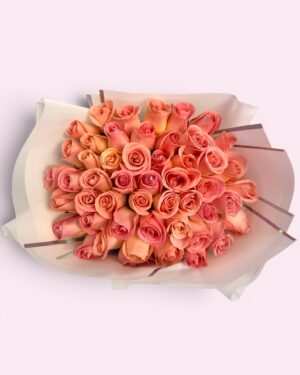 50 rosas rosas