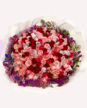 200 rosas de colores con leticia
