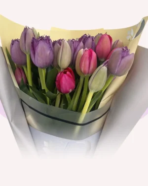 30 tulipanes platinum