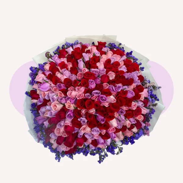 300 rosas combinadas con leticia