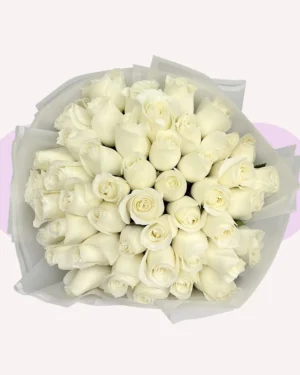 50 rosas blancas