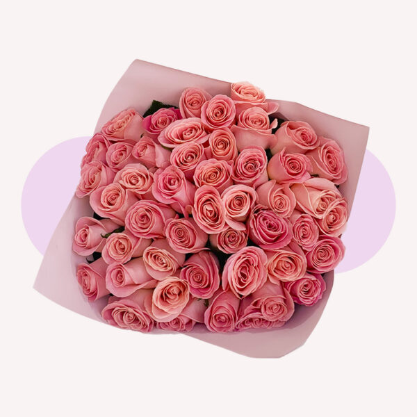 50 rosas rosas