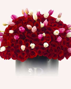 Maxicaja 400 rosas rojas con tulipanes platinum