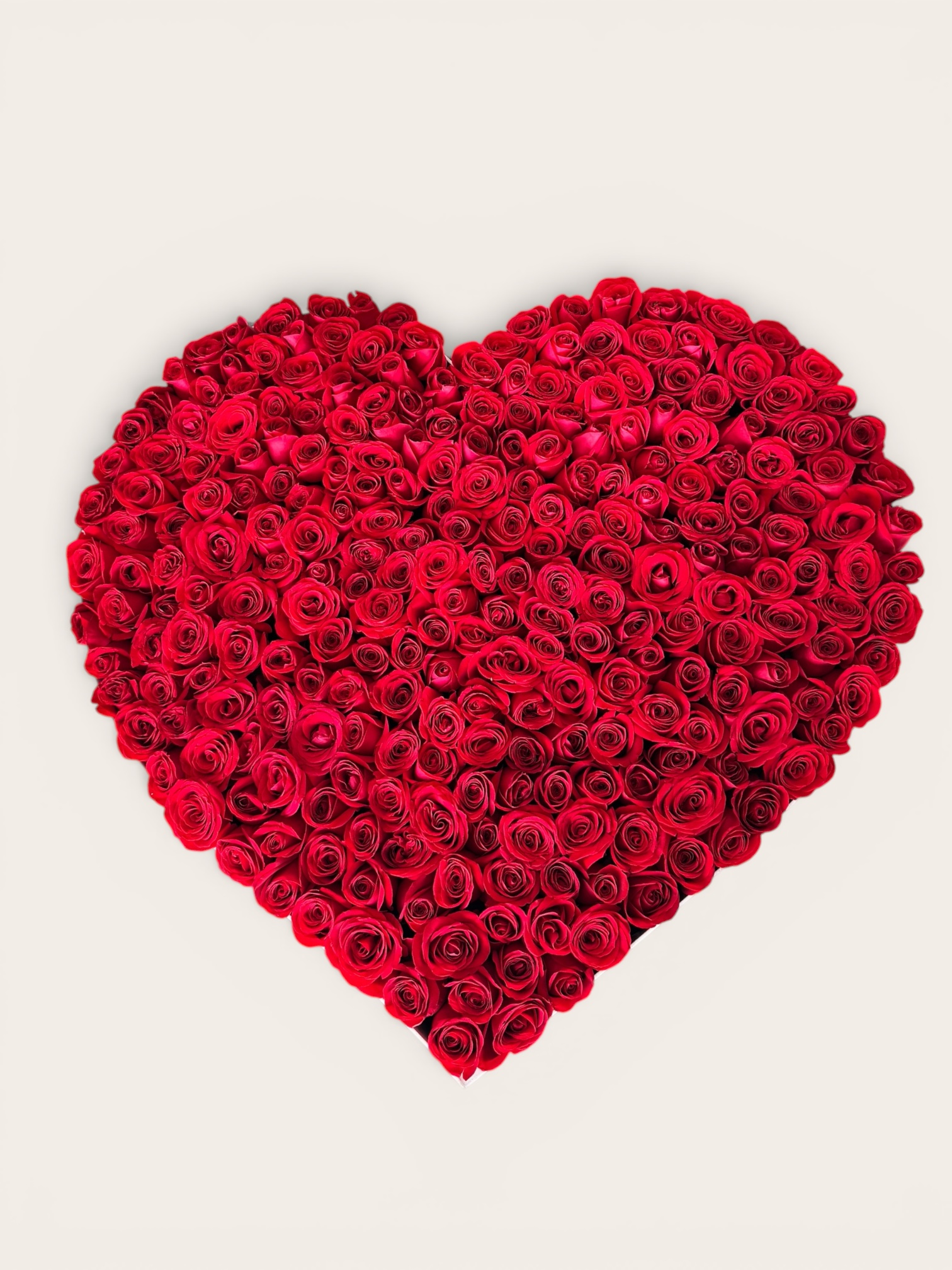 Caja Corazón Gigante de 250 Rosas Rojas
