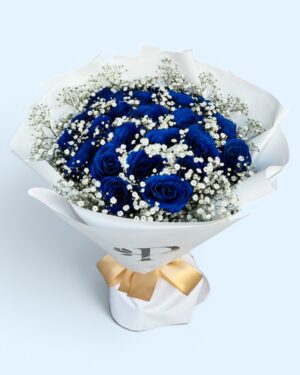 24 Rosas Azules con Gypso