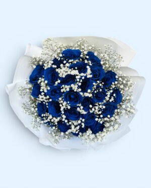 24 Rosas Azules con Gypso