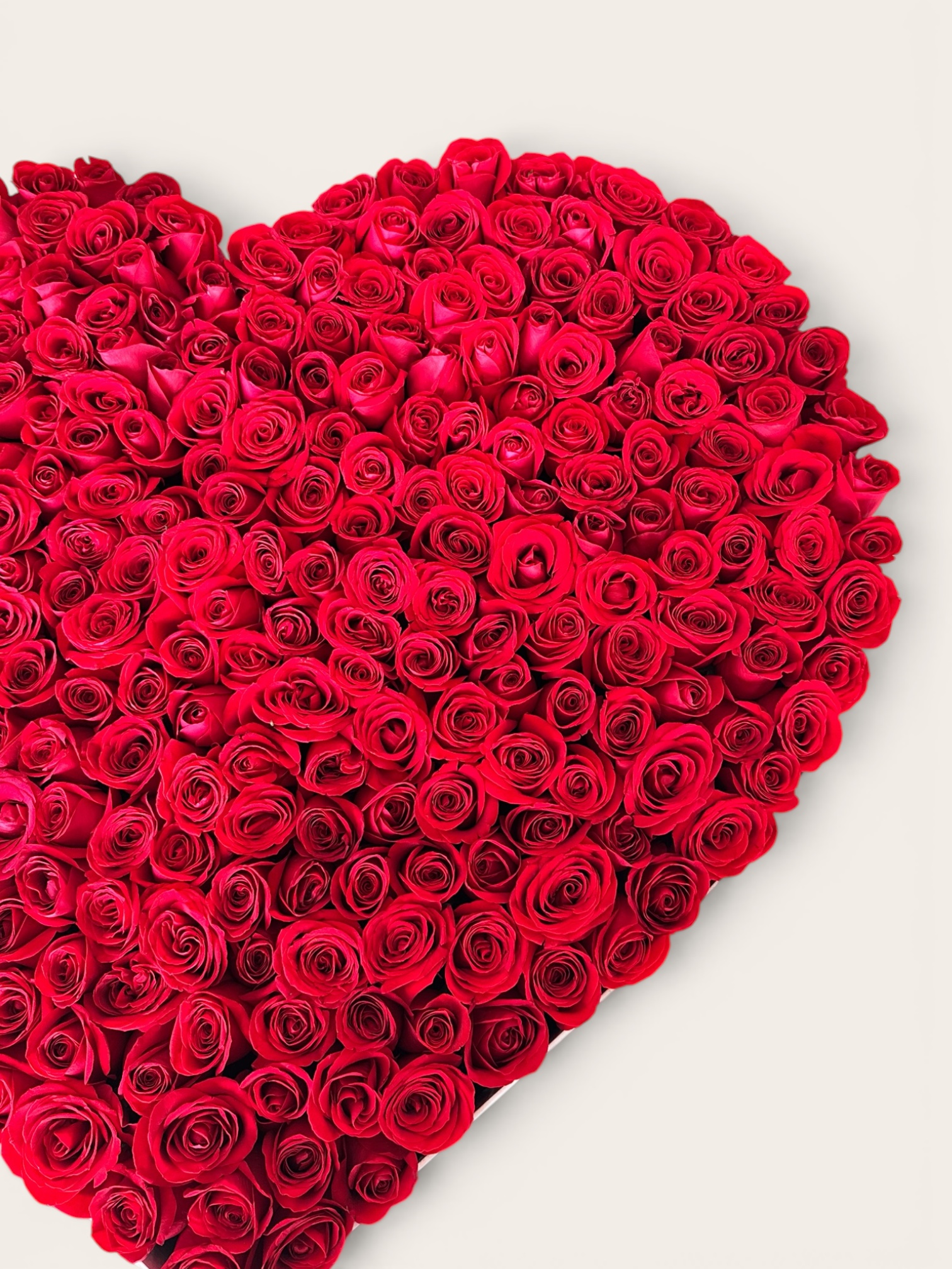 Caja Corazón Gigante de 250 Rosas Rojas - Imagen 4