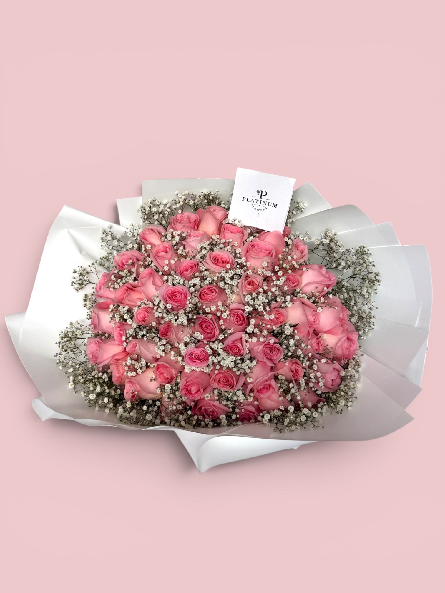 50 Rosas Rosas con Gypso