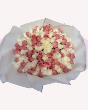 100 ROSAS DE COLORES PASTELES