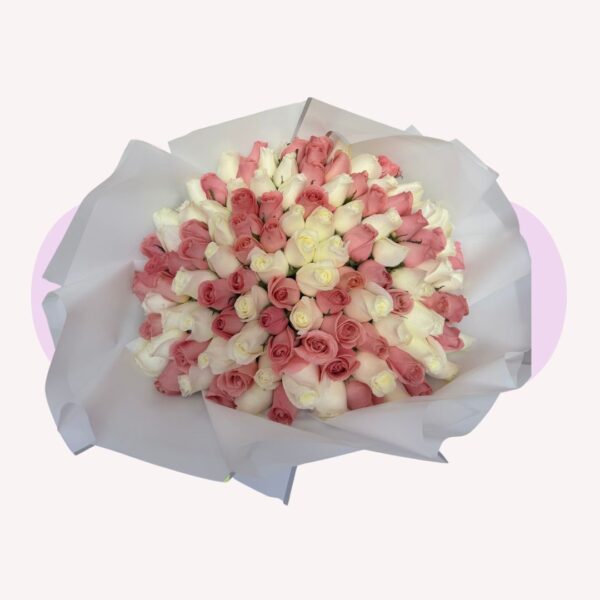 100 ROSAS DE COLORES PASTELES