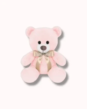 Osito De Peluche Rosa 25 CM