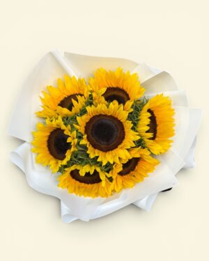 7 Girasoles