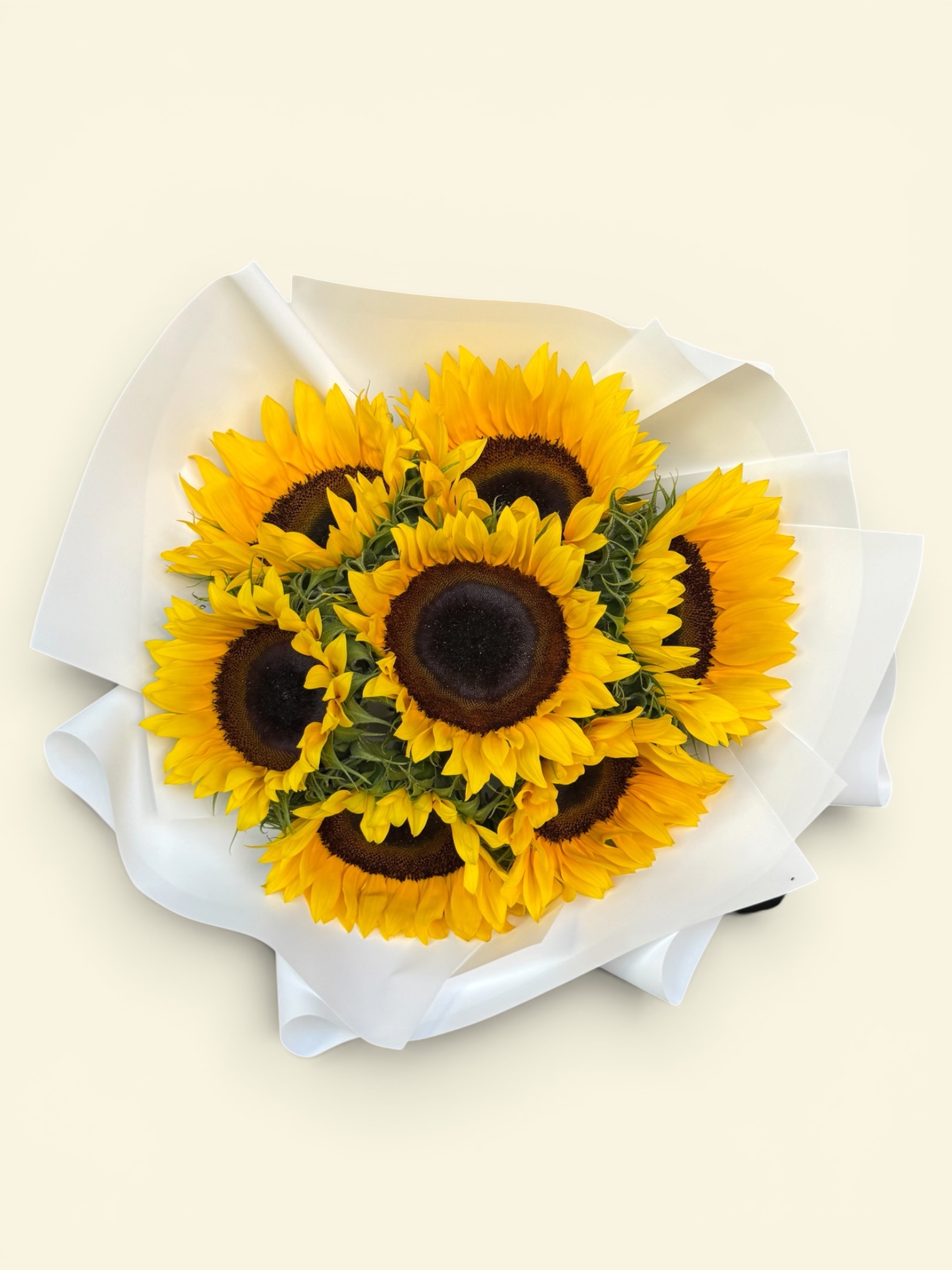 7 Girasoles - Imagen 2