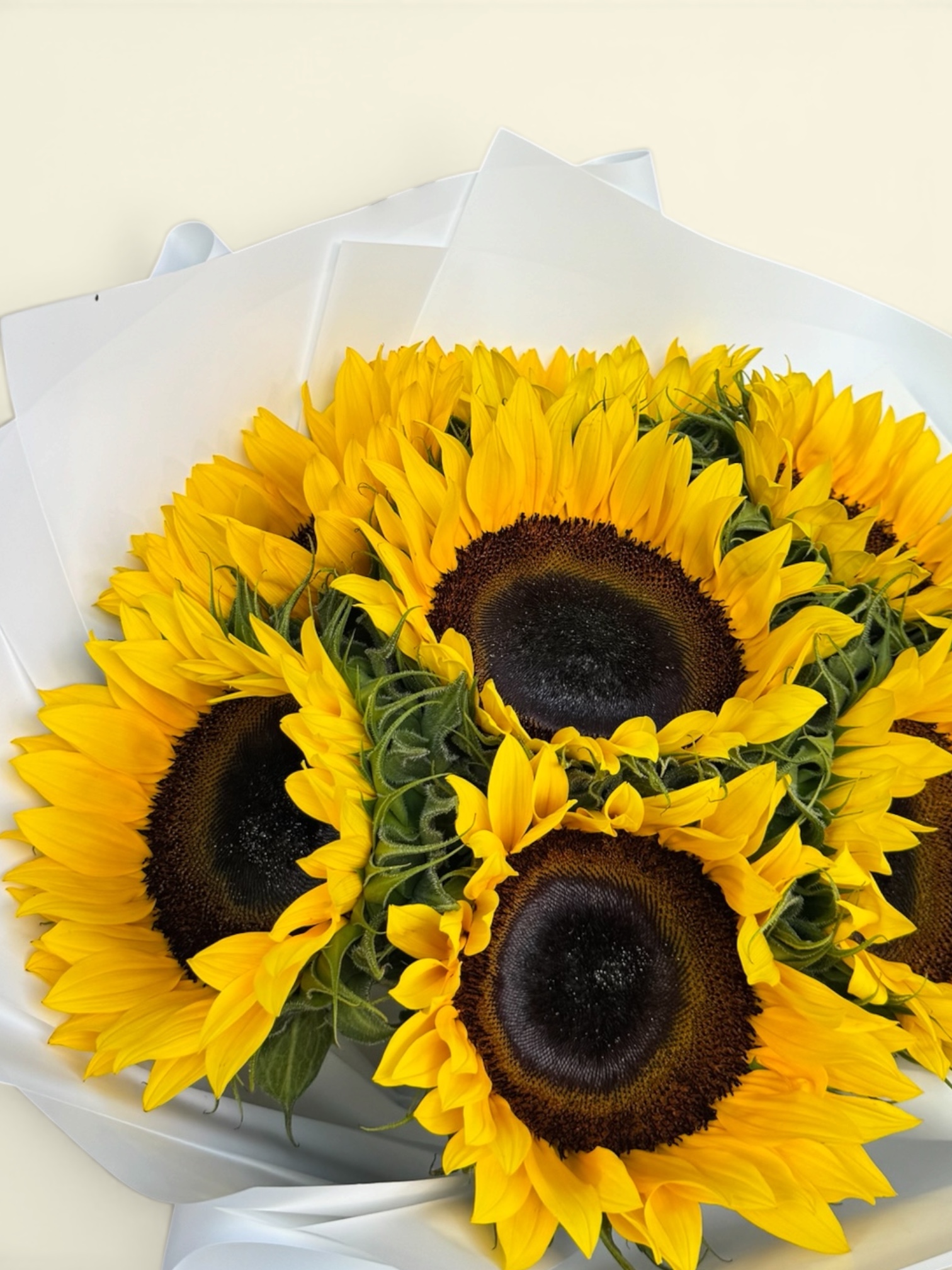 7 Girasoles - Imagen 3