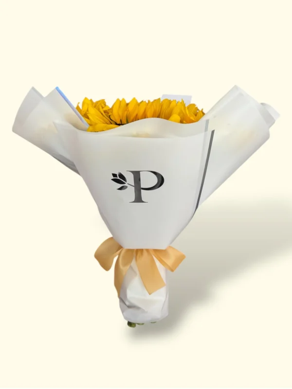 7 Girasoles
