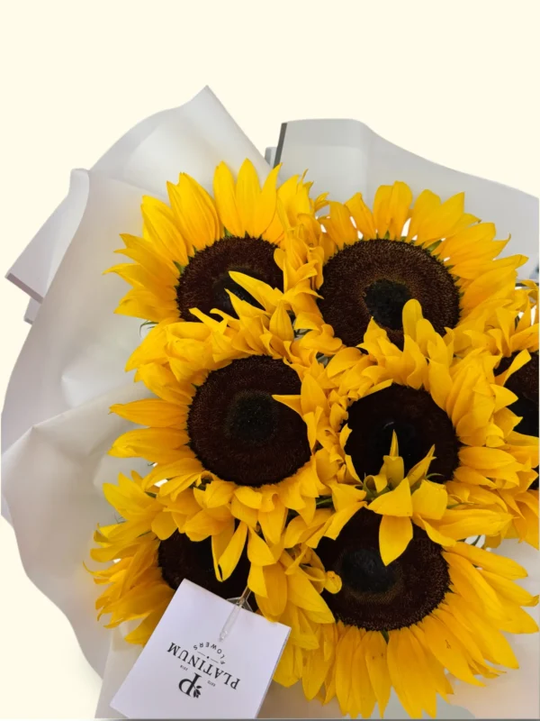 7 Girasoles - Imagen 4