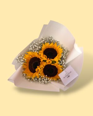 3 Girasoles con gypso