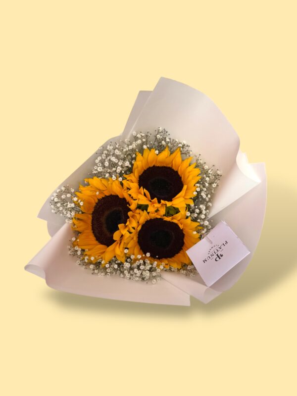 3 Girasoles con gypso - Imagen 2