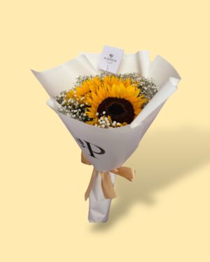 3 Girasoles con gypso