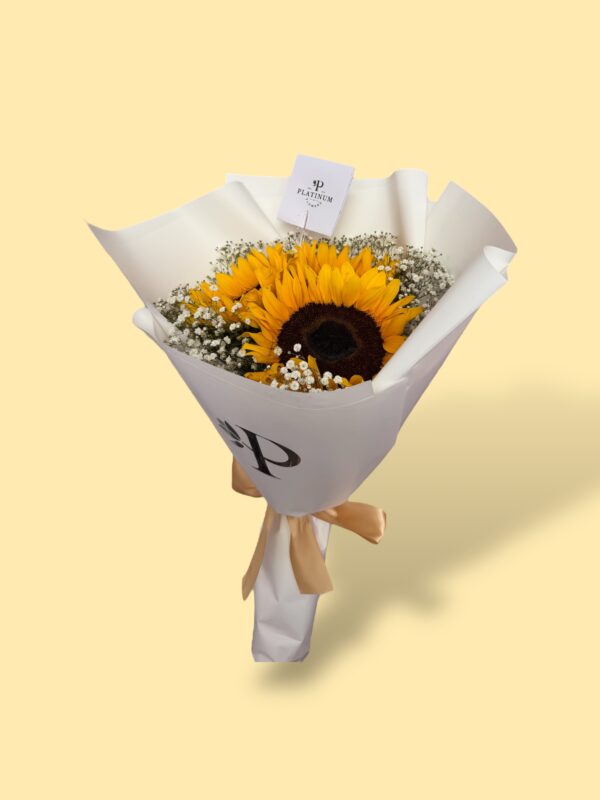 3 Girasoles con gypso