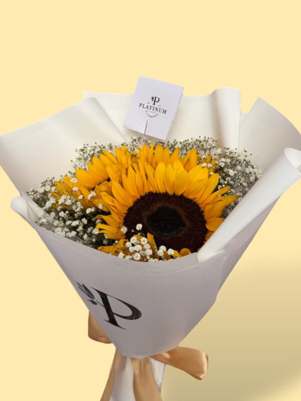 3 Girasoles con gypso - Imagen 3