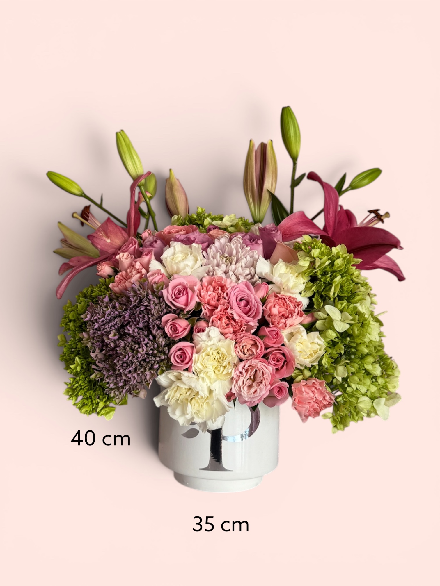 Cilindro Mix Hermosa Platinum - Imagen 4
